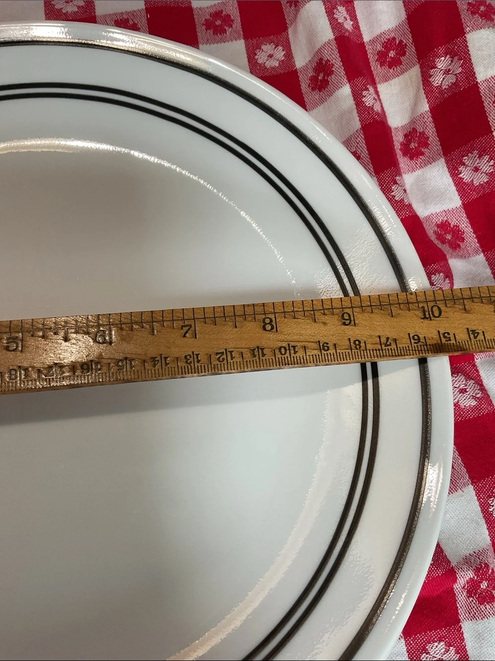 Corelle 4 classic Cafe dinner plates.